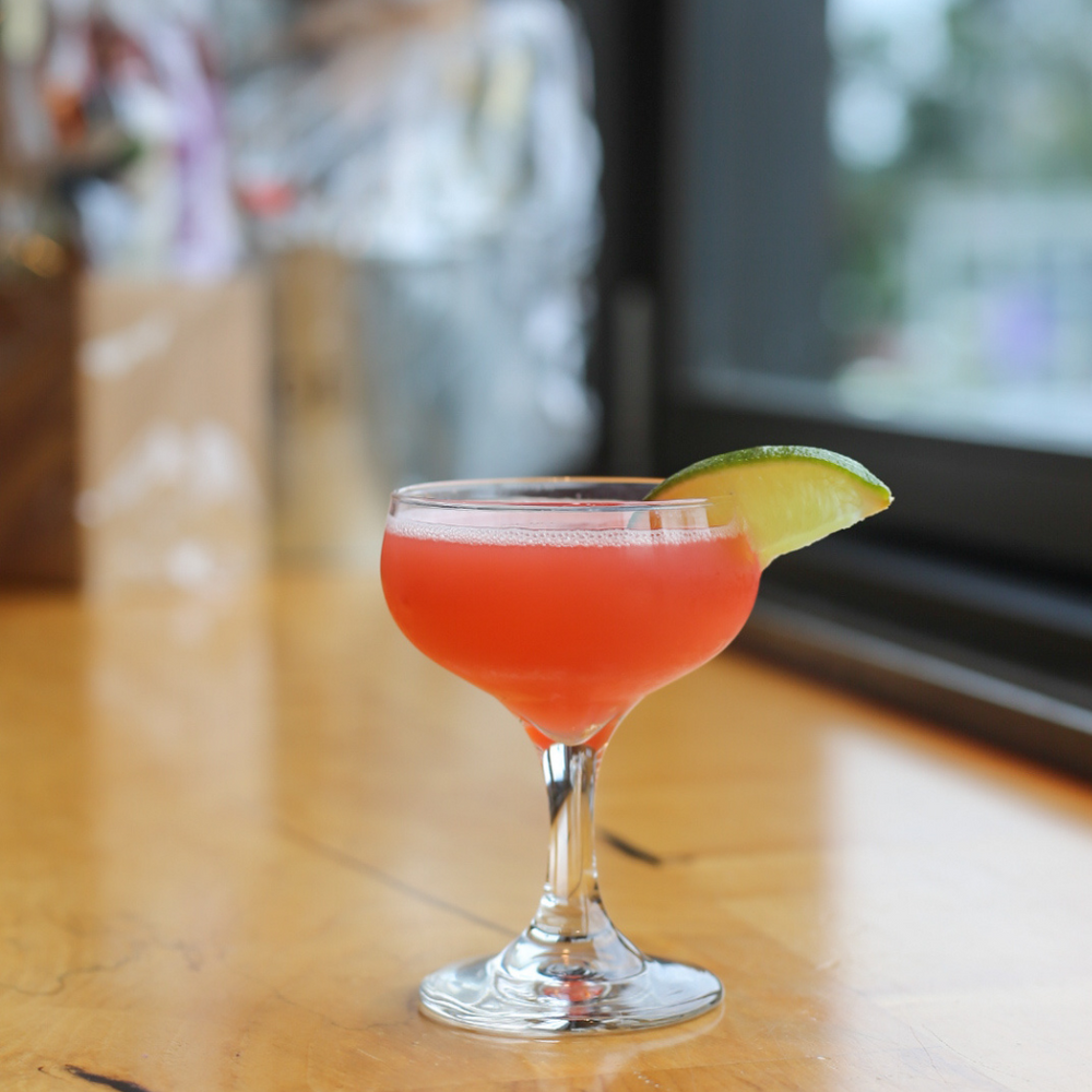 The Cranberry Gimlet Cocktail (featuring HDC Elk Rider Gin) in a martini glass.