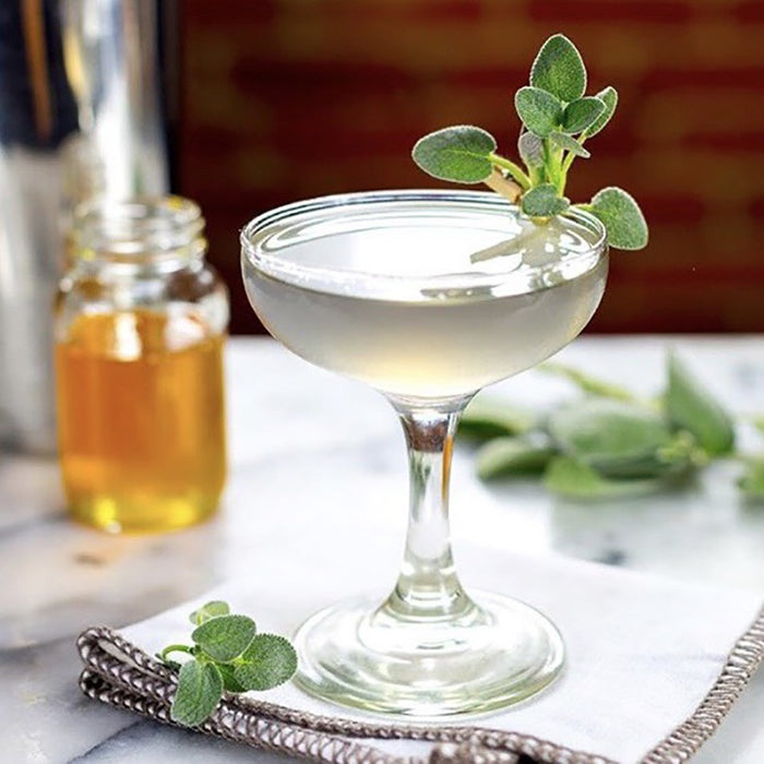 A lavender cocktail served in a martini glass with a fresh sage garnish.